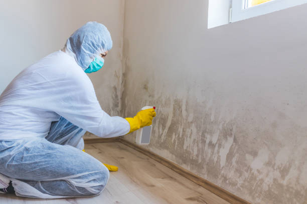 Licensed Commercial Mold Remediation service in Toms River, NJ - WQB Mold Removal