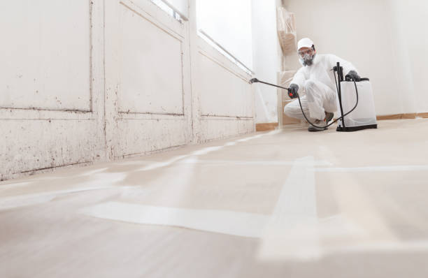 24/7 Emergency Commercial Mold Remediation experts in Toms River, NJ
