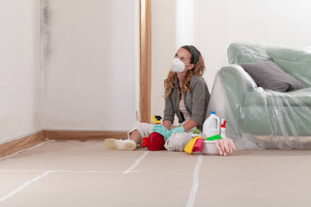 Reliable Commercial Mold Remediation contractor in Toms River, NJ by WQB Mold Removal
